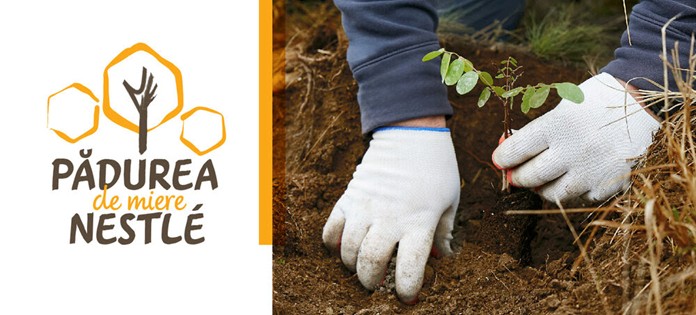 Pădurea de Miere Nestlé